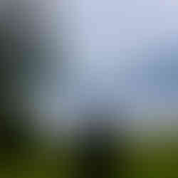 Ein idyllischer und historischer Ort auf Averøya