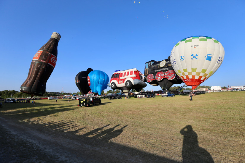 Ein Stelldichein der besonderen Art