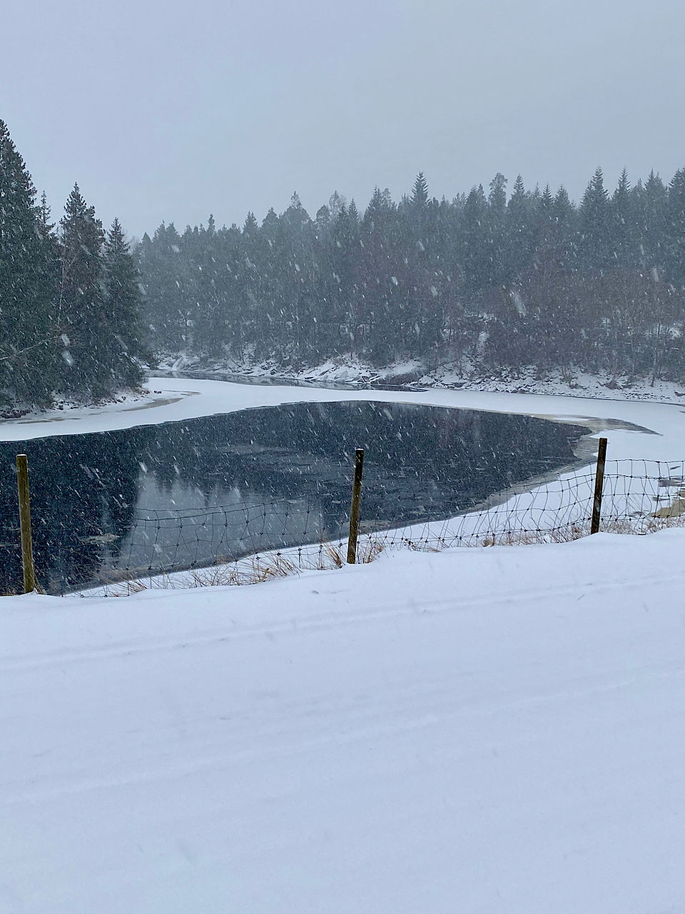 Bald ist der Fluss zugefroren