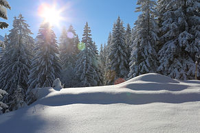 Graubünden, Brambrüesch