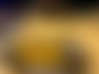 Fyresdal - Heimreise