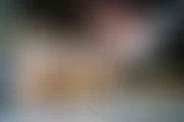 Der Otter kommt vom Schwimmen zurück