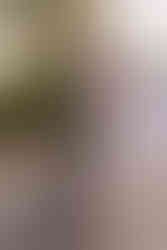 Schiffsanker im Hafenbecken