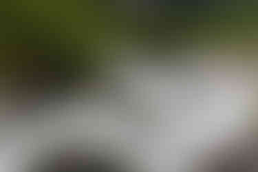 Dieser Felsblock blieb liegen als sich der Gletscher zurückzog