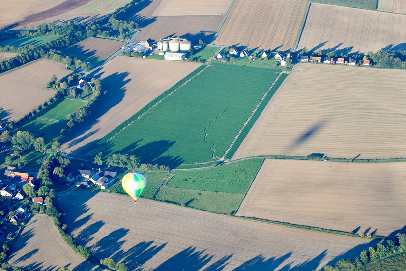 Was in dem Feld wohl versteckt ist?