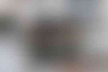 Das Saunaboot in der Bucht beim Fischmarkt