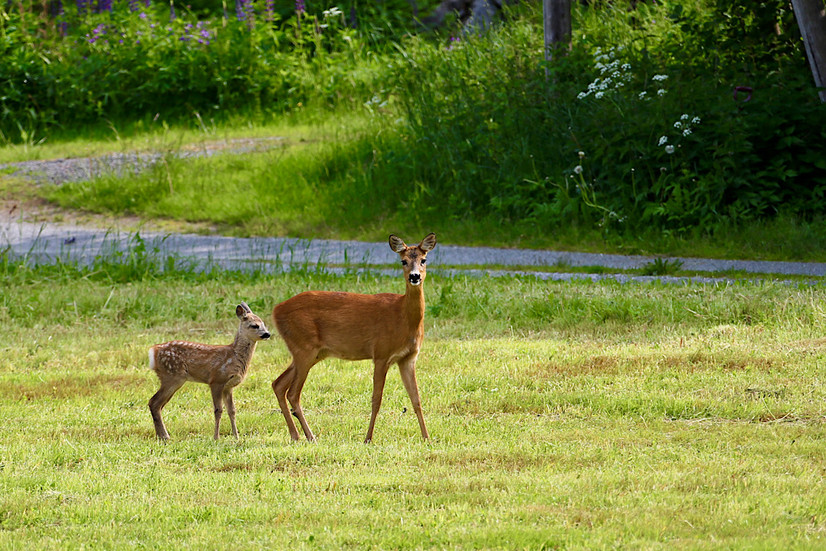 Der Altar aus Eisenbahnschwellen in der Zugkapelle