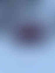 Der Schnee auf dem Dach ist von letzter Nacht