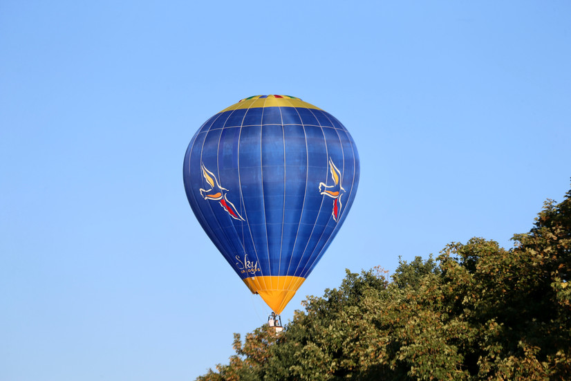 Wunderschön und bunt