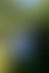 Die Fossevandring - Die Wasserfallwanderung