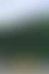 Das Kletterzentrum und -Museum