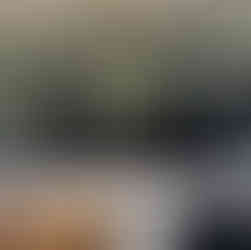 Die Abteilung ist leicht entfernbar