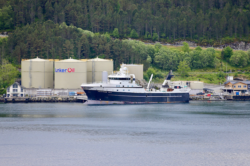 Ein Blick vom Hafen in Richtung Kirche