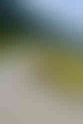 Nahrungsmittelbeschaffung für die nächsten Tage