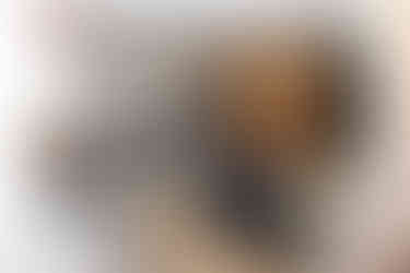 Kochzeile und Essbereich