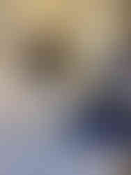 Merlin zufrieden in Fulda