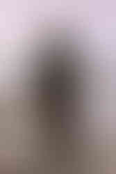 Piperen i Piperviken