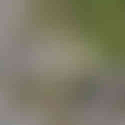 Ein kurzer Stil reicht um schön dazustehen