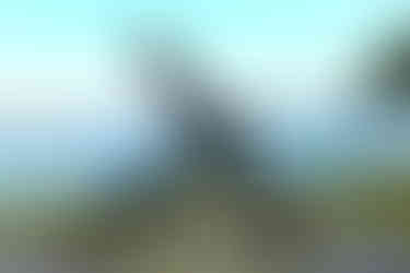 Piperen i Piperviken