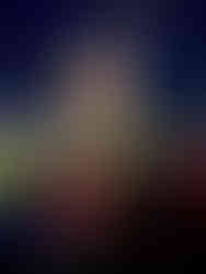 Die Warsteiner Tulpe