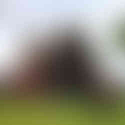 Ein idyllischer und historischer Ort auf Averøya