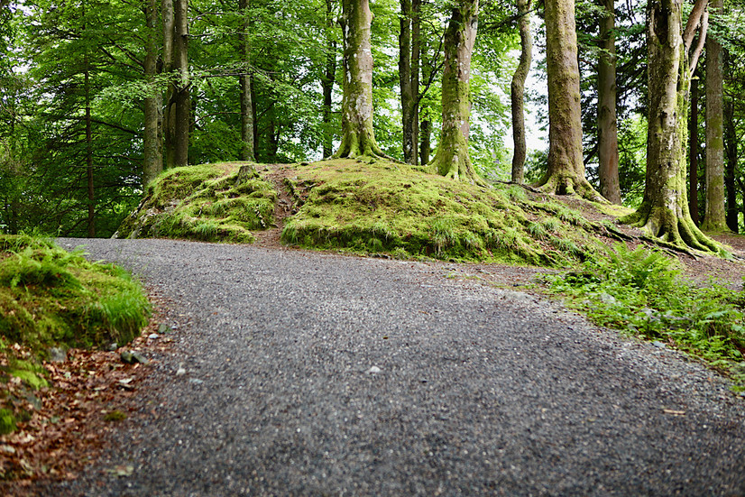 Unterwegs zum Kraftort