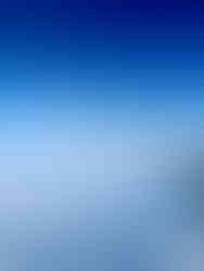 Edelweiss auf blauem Grund