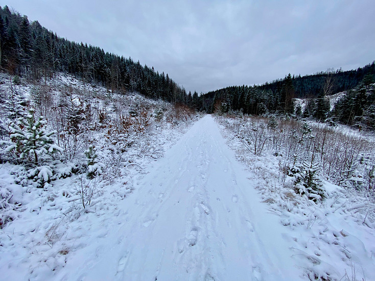 Fahrweg ins Mollestad-Tal
