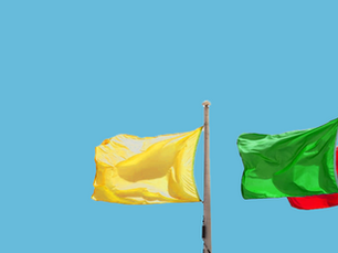 How to read beach flags ?
