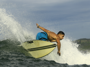 Surfing and sustainability