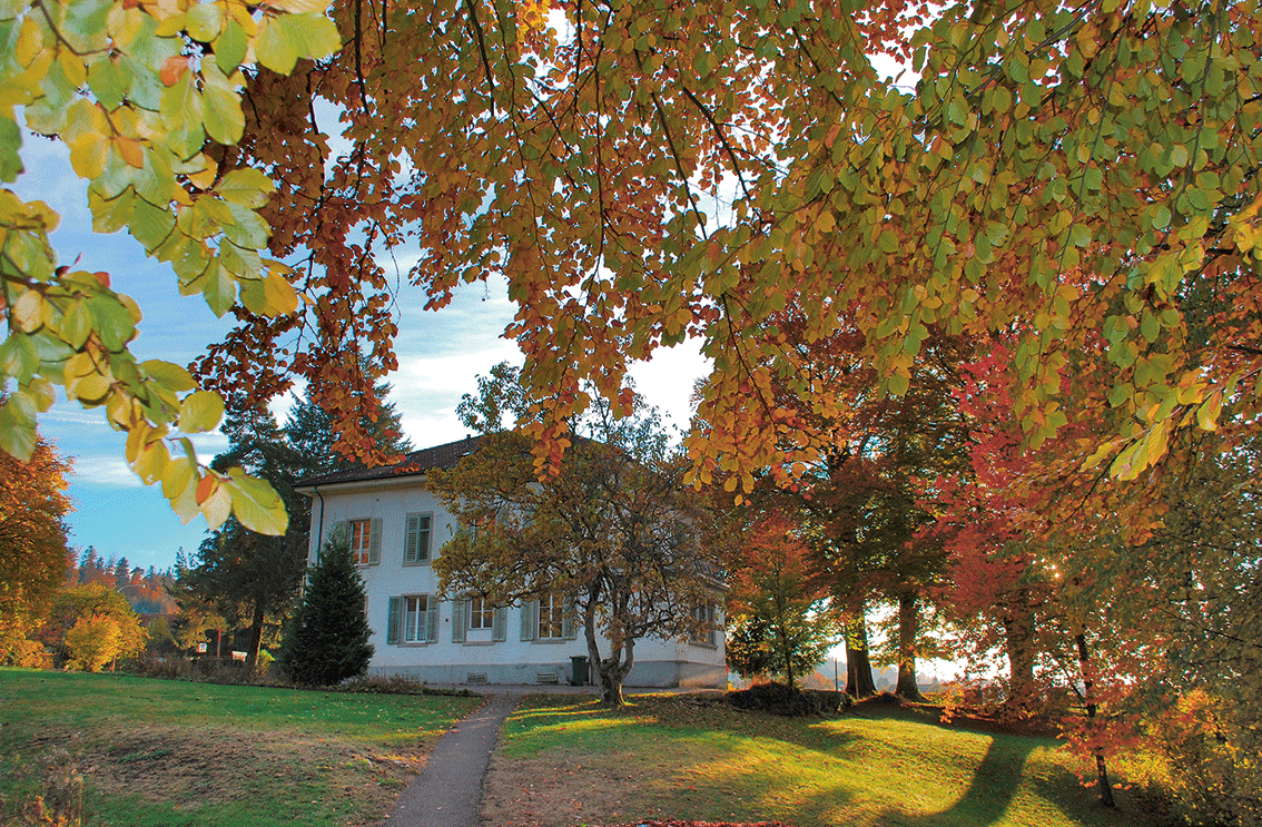 Im Herbst