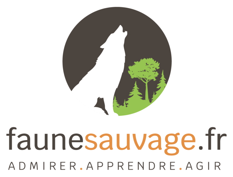 faunesauvage-768x585.png.webp
