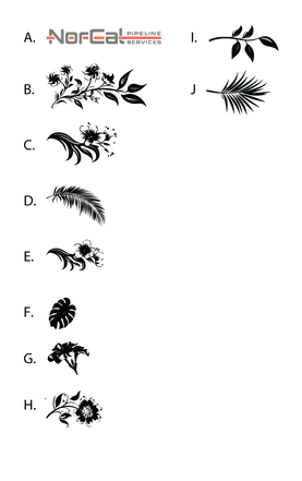 nor-cal-v02-assets-3x.png