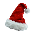 —Pngtree—festive big ball long-haired santa_5663700.png