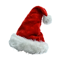 —Pngtree—festive big ball long-haired santa_5663700.png