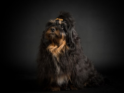 Sophie 10 Monate (2).jpg