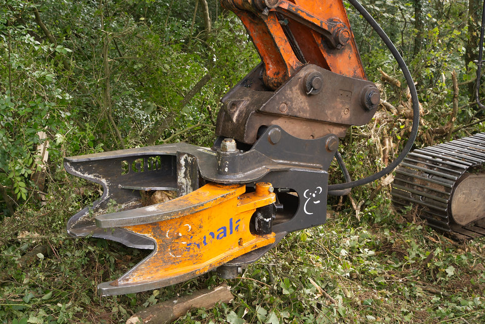 Tree Shears.jpg