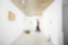 Installation view - Alice Amati - Rike Droescher - 002 Ph. Tom Carter.jpg