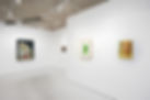 Alice Amati - The Belly and the Guts - Installation.jpg