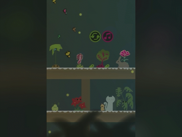 parterra-gif.gif