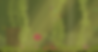 9.png