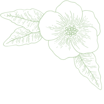 Flower for web_edited.png