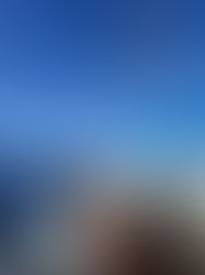 Lime, Wine og Hard Wine