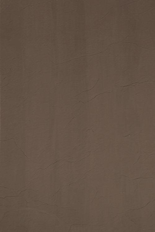 سيليت بني SALTE