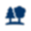 noun_Tree_1998846 (1).png
