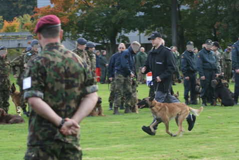 Diensthund an internationalem Wettkampf, Pro Cane Hundecoaching
