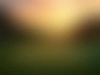 Discover the Latest Community Upgrades and Lifestyle Enhancements in Naples FL