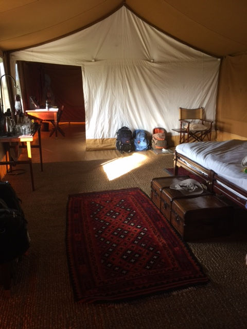 Camp at Elephant Pepper