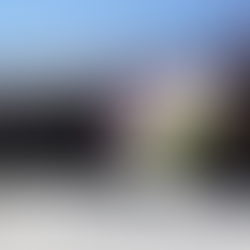 A flower sprouting through the snow