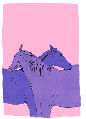 cover.png
